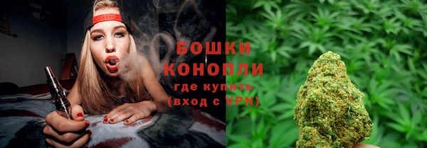 бошки Новодвинск