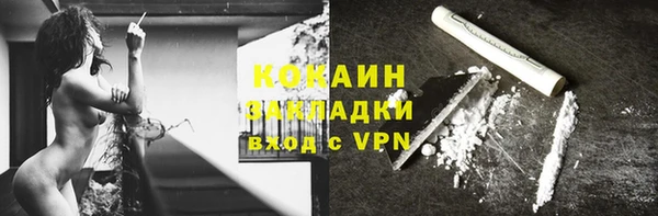 сатива Новозыбков