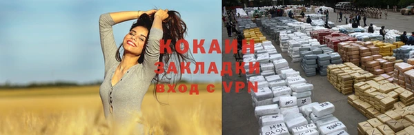 винт Новокубанск