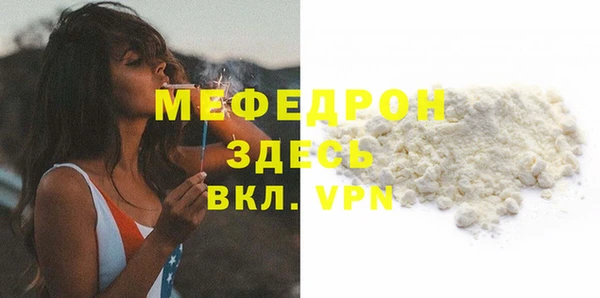сатива Новозыбков