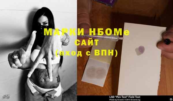 бошки Новодвинск