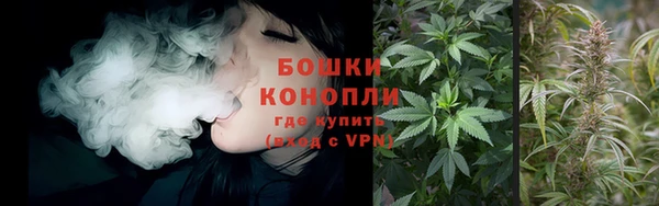 бошки Новодвинск