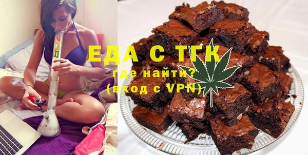 сатива Новозыбков