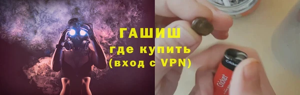 сатива Новозыбков