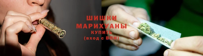 бошки Новодвинск