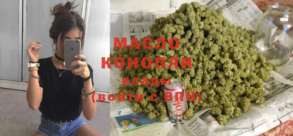 сатива Новозыбков