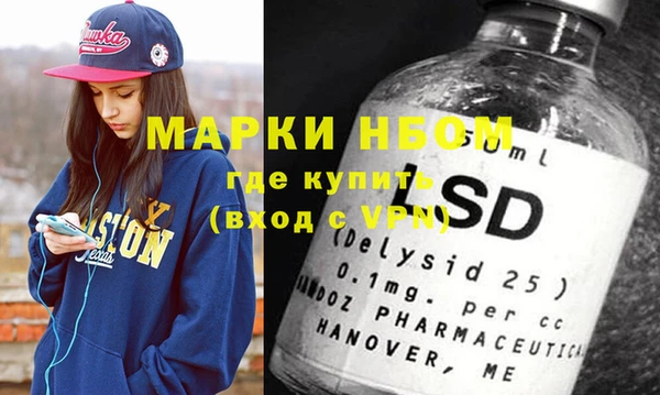 сатива Новозыбков