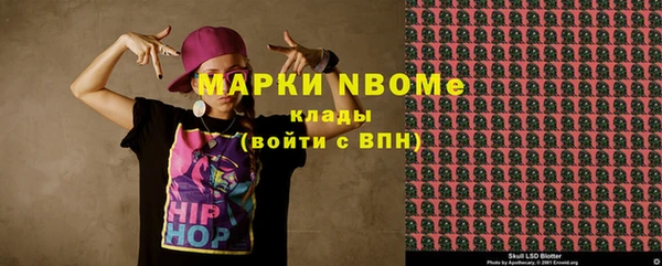 бошки Новодвинск