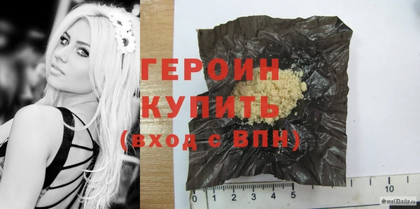 сатива Новозыбков