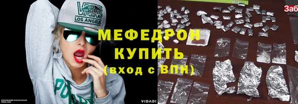 сатива Новозыбков