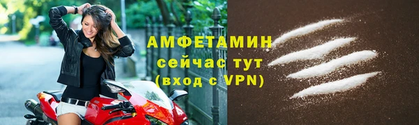 сатива Новозыбков