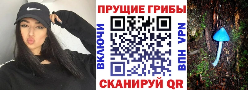 Псилоцибиновые грибы мицелий  МЕГА ссылки  Нарьян-Мар 