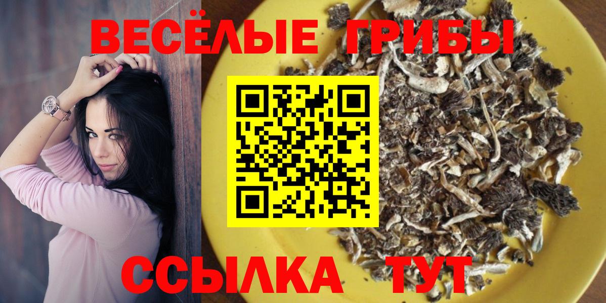 Галлюциногенные грибы мухоморы  Вход с VPN  цены наркотик  Нарьян-Мар 