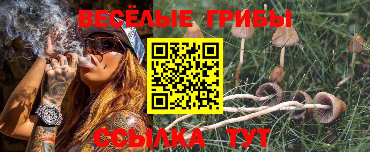 Псилоцибиновые грибы Cubensis Нарьян-Мар