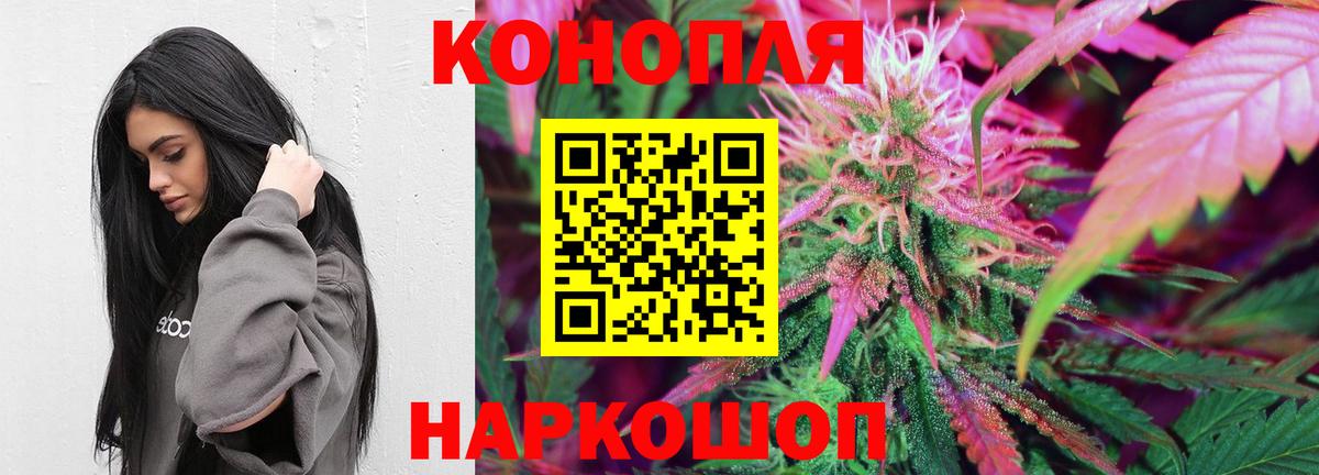 Бошки Шишки сатива  МАРИХУАНА конопля  МАРИХУАНА Bruce Banner  Нарьян-Мар  Марихуана план  Вход с VPN 